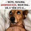 ���� �������, ��������, 54 ���� - ��������� 26 �������� 2023 � ������ ���� ����������