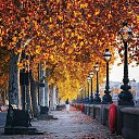 ���� �������, ���������, 44 ���� - ��������� 18 ����� 2023