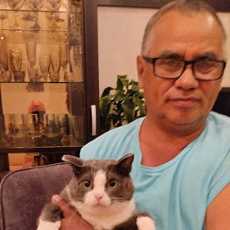 ������, �����������, 61 ���