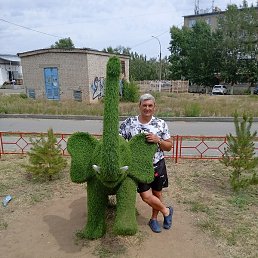 �������, ������, 56 ���