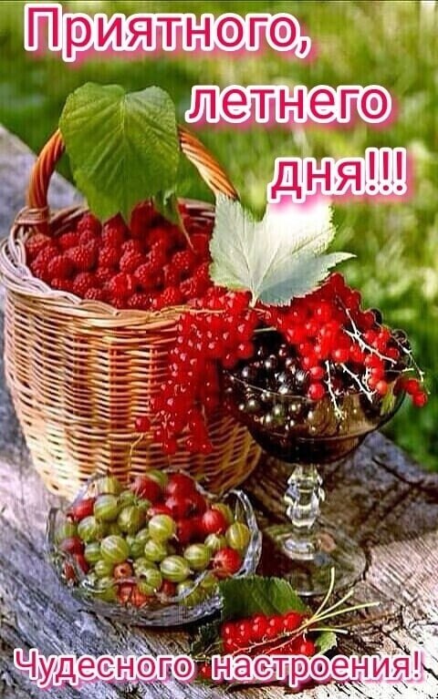   ,    . - 24  2023  13:10