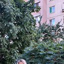 ���� �����, �������, 61 ��� - ��������� 10 �������� 2023 � ������ ���� ����������