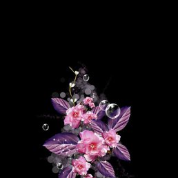 ����, ������, 33 ����