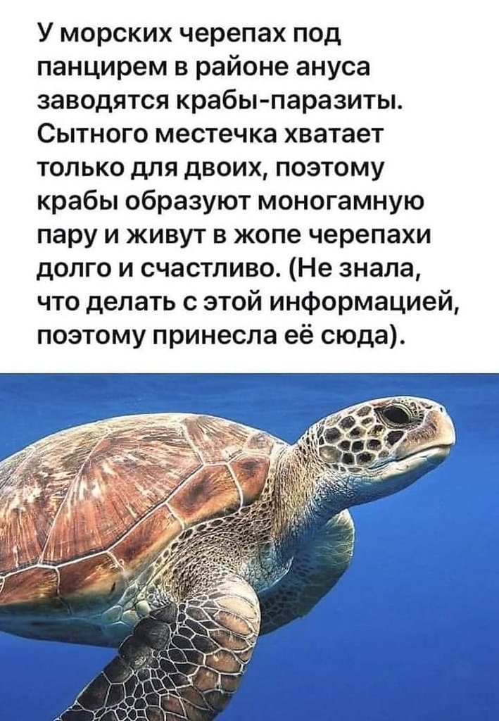 :)