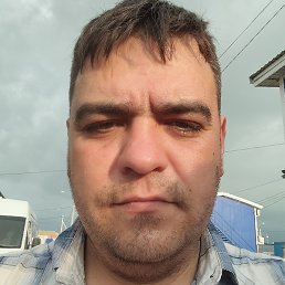 �������, ����, 37 ���