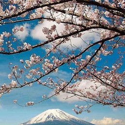 �������, ������