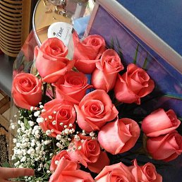 ����, ������, 40 ���