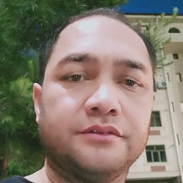 ������, �����, 43 ����