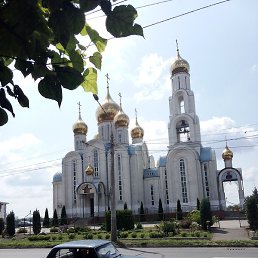 ����, ������������, 44 ����