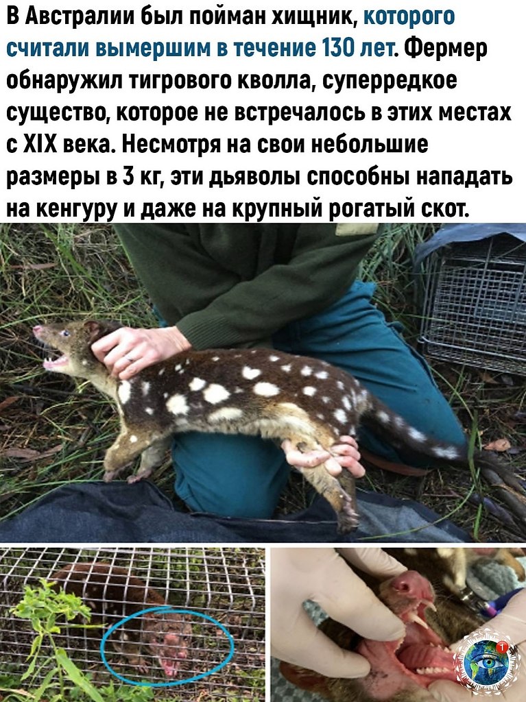  |  |   5 - 3  2023  15:18
