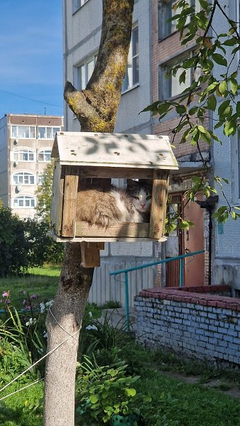 Во время прогулки встретил такую вот птичку