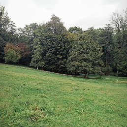 , , 25 