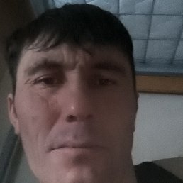 ��������� �������, �����-���������, 46 ���