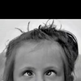 ���� �������, ������, 49 ��� - ��������� 6 ���� 2023