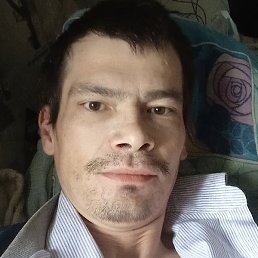 �����, ������, 41 ���