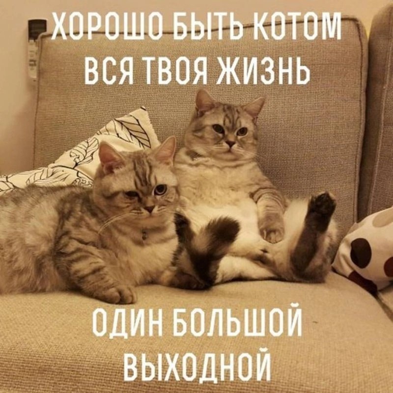  - 27  2023  16:03