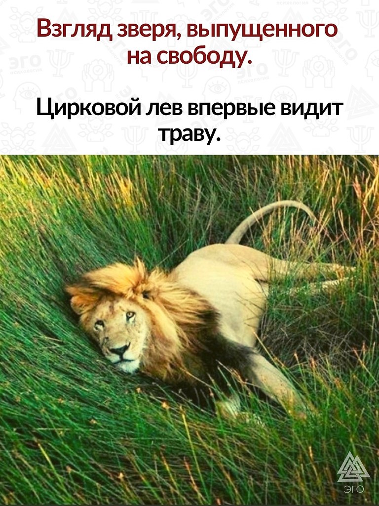       ,       . ...