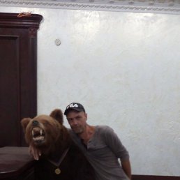 ������, ������, 37 ���