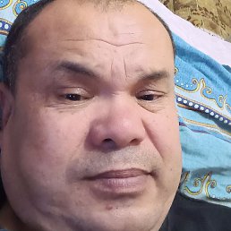 ������, ������, 54 ����