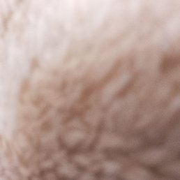 ���� ����, �����-���������, 40 ��� - ��������� 27 ������� 2023