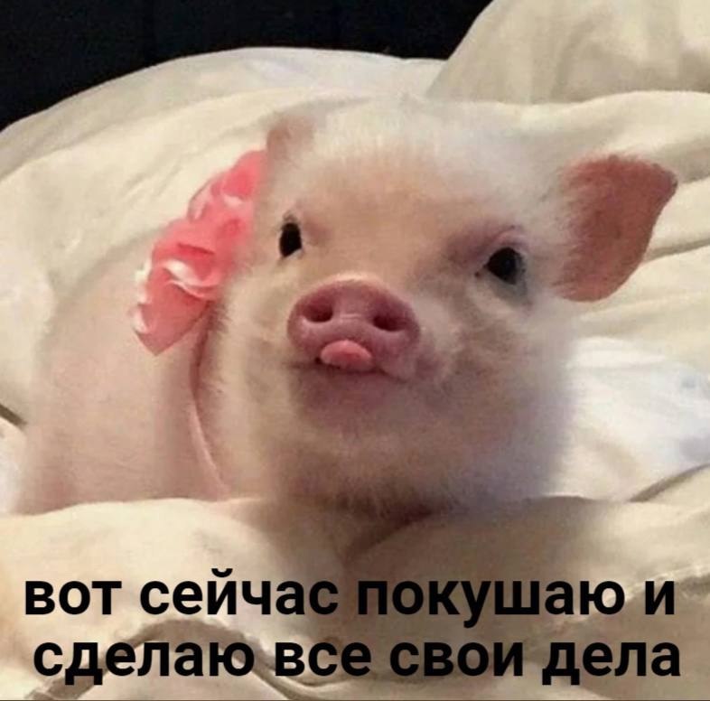    - 24  2023  08:17