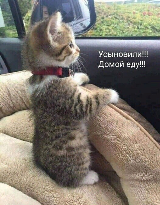 ~~~~~~~~~~~~~~~~~~~~~