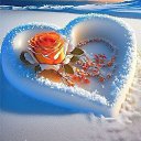 ���� Mirali, ���, 35 ��� - ��������� 16 ������ 2023 � ������ ���� ����������