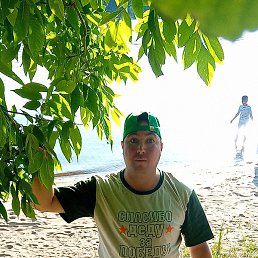 ������, ���������, 37 ���