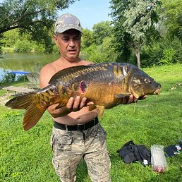 ���� ����, �����, 54 ���� - ��������� 5 ����� 2023