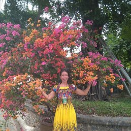 �����, ������, 50 ���