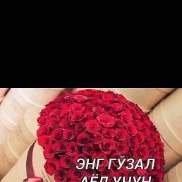 , , 43 