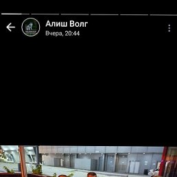 ����, ���������, 46 ���