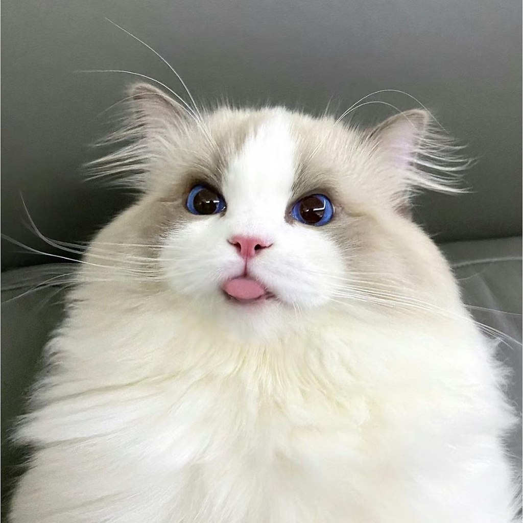     ? - 4