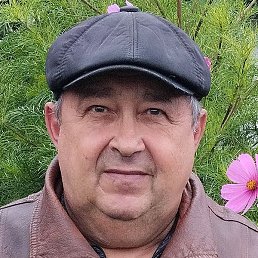 ������, ������, 71 ���