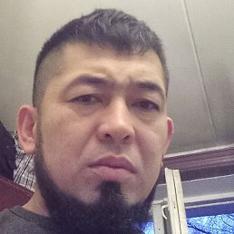 ��������, ������, 37 ���