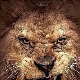 ��������, ������, 54 ����