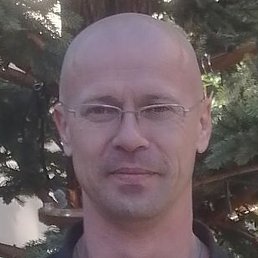 ������, �������, 41 ���