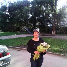 ��������, ���������, 66 ���