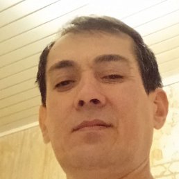 �����, ������, 49 ���