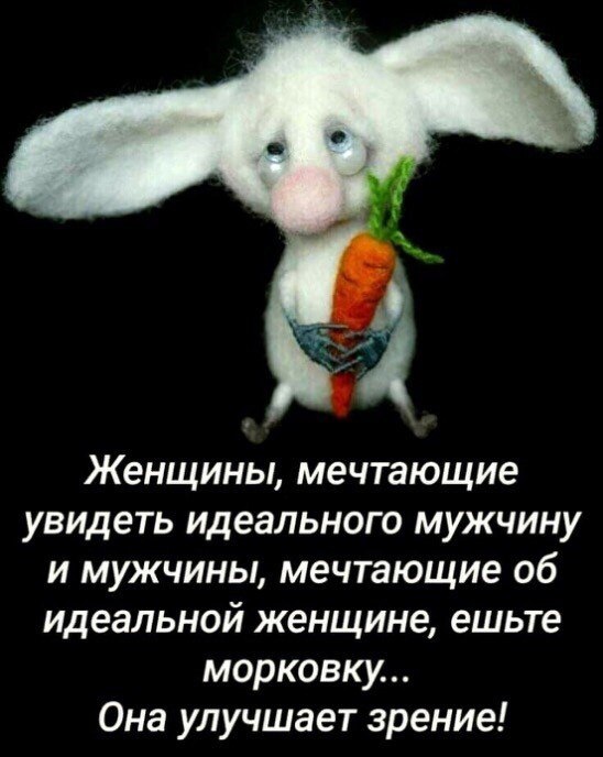  - 28  2023  16:03