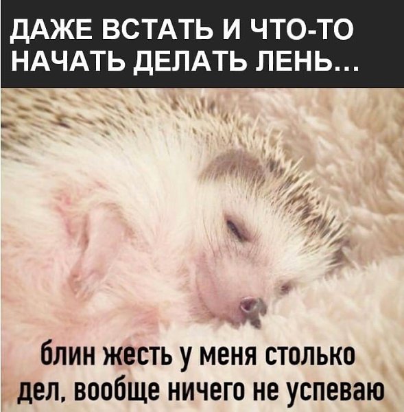    - 27  2023  16:43