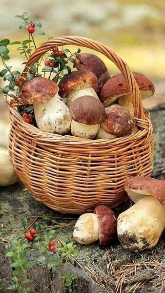Незаметно лето пролетает.. Август уже к финишу бежит.. Дни, как будто снег, в ладошках тают.. Осень ...