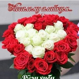 �����, �����-���������, 40 ���