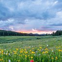 Фото Николай, Ставрополь, 80 лет - добавлено 24 апреля 2023