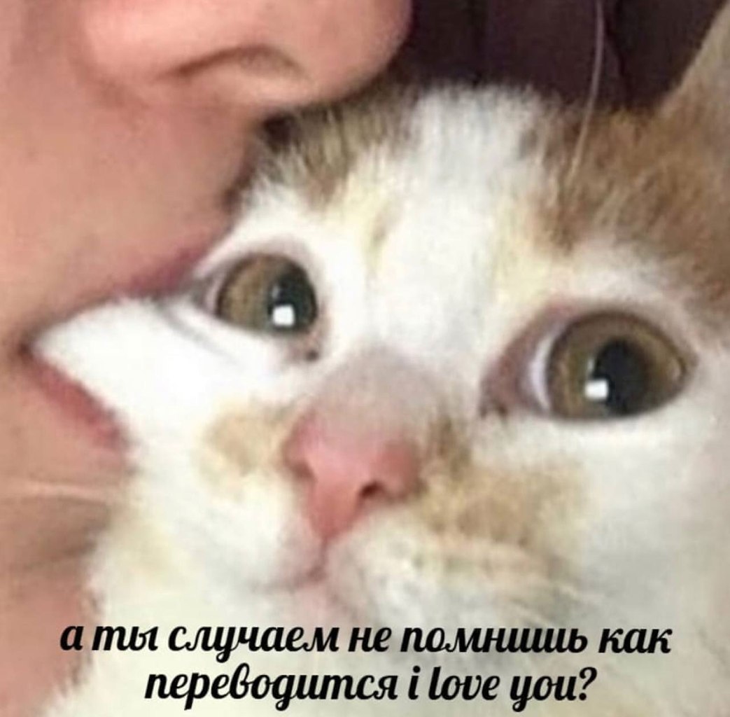    - 30  2023  18:37