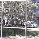 , , 42  -  16  2023    -43114   ׻