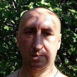 ����, ������, 37 ���