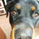 ���� ������, ������� �����, 61 ��� - ��������� 3 ���� 2023