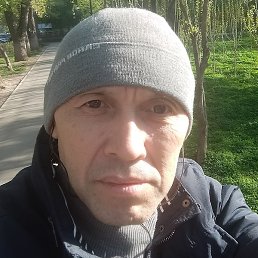 �����, ������, 56 ���