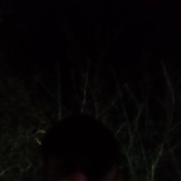 ���� ������, ������, 44 ���� - ��������� 19 ������� 2023